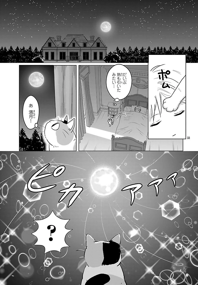 転生した三毛猫は王子と玉座の夢を見る 第1話 - 34