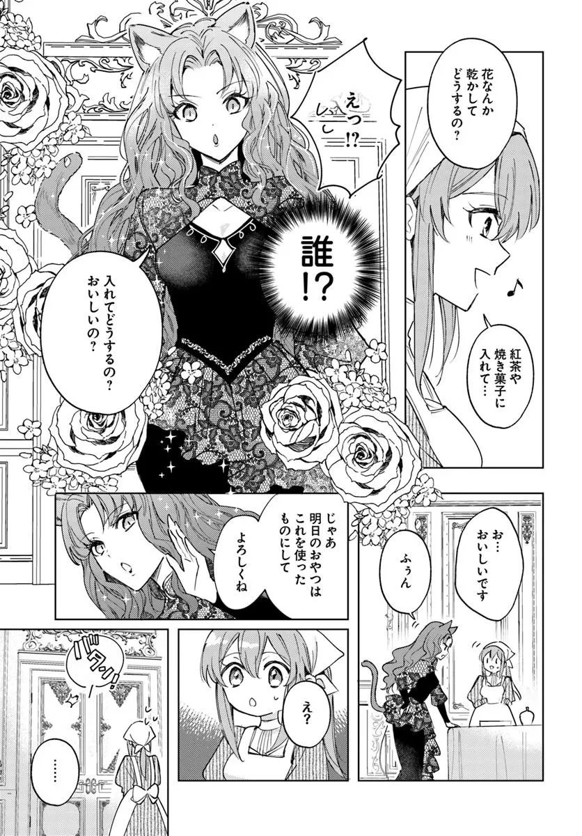 追放聖女は獣人の国で楽しく暮らしています ~自作の薬と美味しいご飯で人質生活も快適です!?~ 第8.1話 - 21