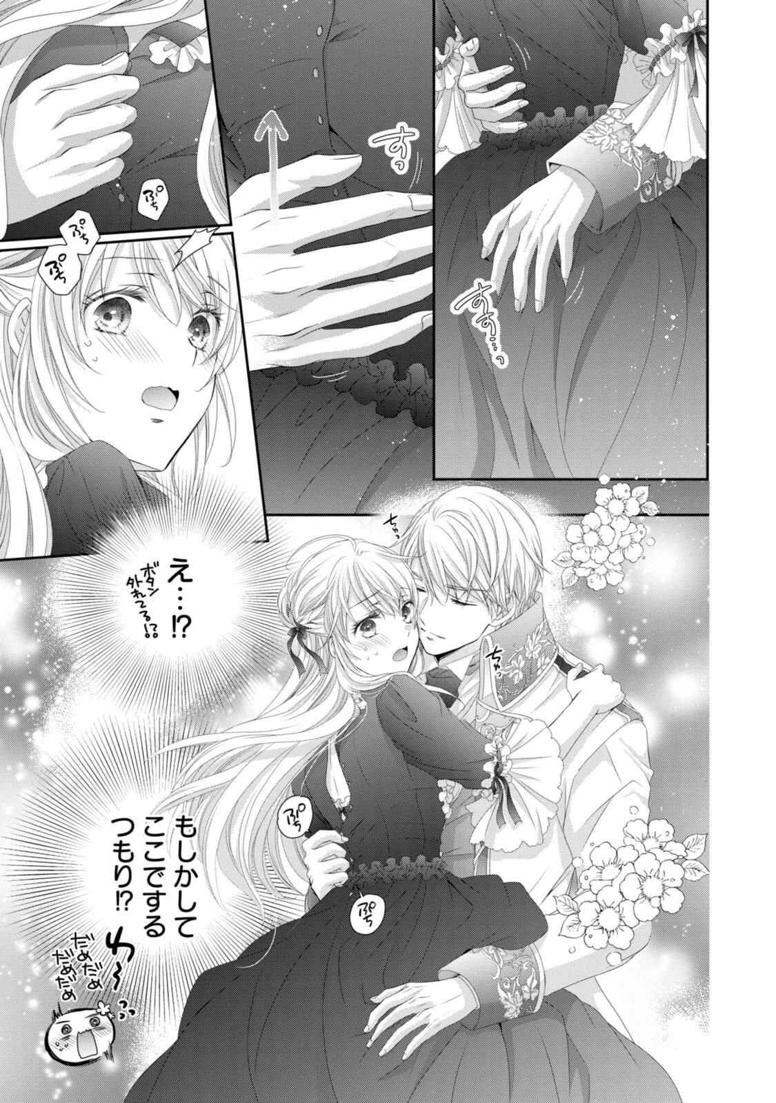 王子様に溺愛されて困ってます～転生ヒロイン、乙女ゲーム奮闘記～ 第33.2話 - 8