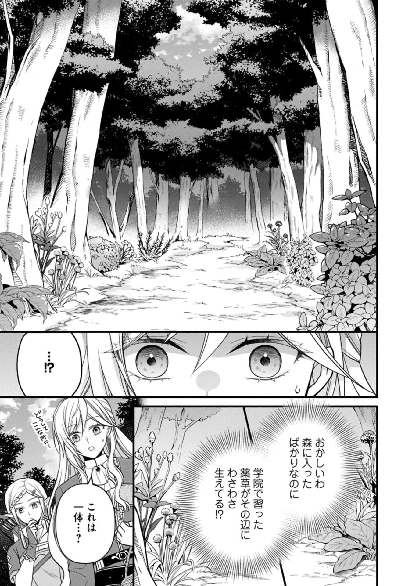 婚約解消のち、お引越し。セイラン・リゼルの気ままで優雅な生活。～才色兼備の転生令嬢は前世チートで自由を満喫します～ 第3.2話 - 15