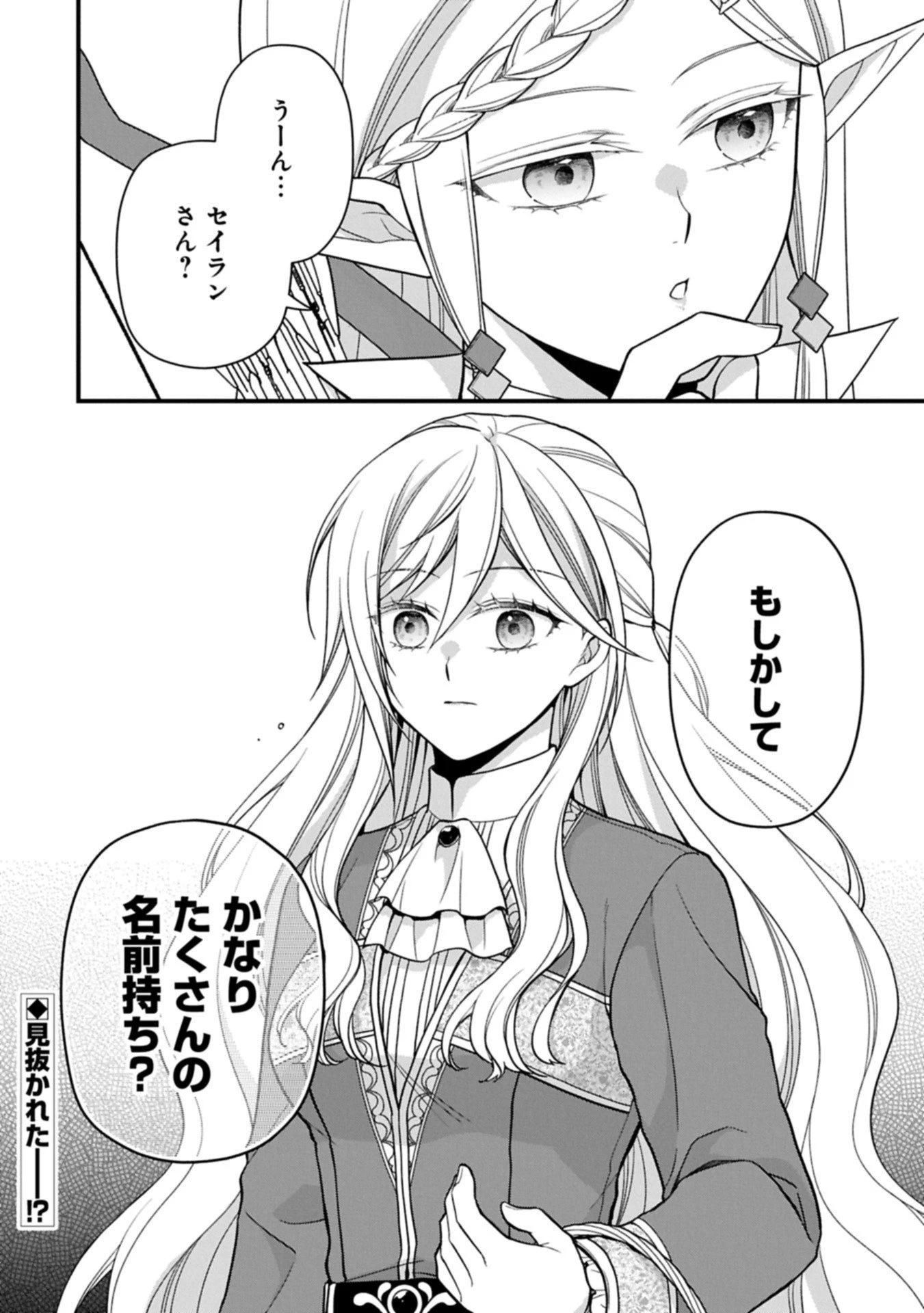 婚約解消のち、お引越し。セイラン・リゼルの気ままで優雅な生活。～才色兼備の転生令嬢は前世チートで自由を満喫します～ 第3.2話 - 16