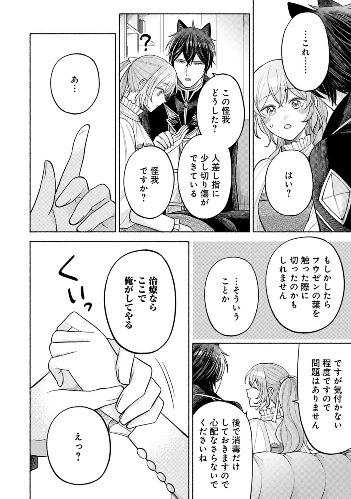 聖女の妹の尻拭いを仰せつかった、ただの侍女でございます～謝罪先の獣人国で何故か黒狼陛下に求愛されました！？～ 第15.1話 - 12