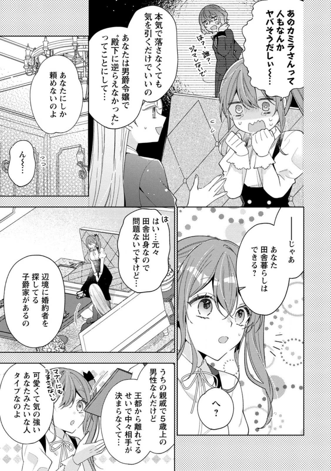 私の婚約者様の毒舌が過ぎる～みんなに塩対応のはずが私は溺愛されています～ 第7.2話 - 10