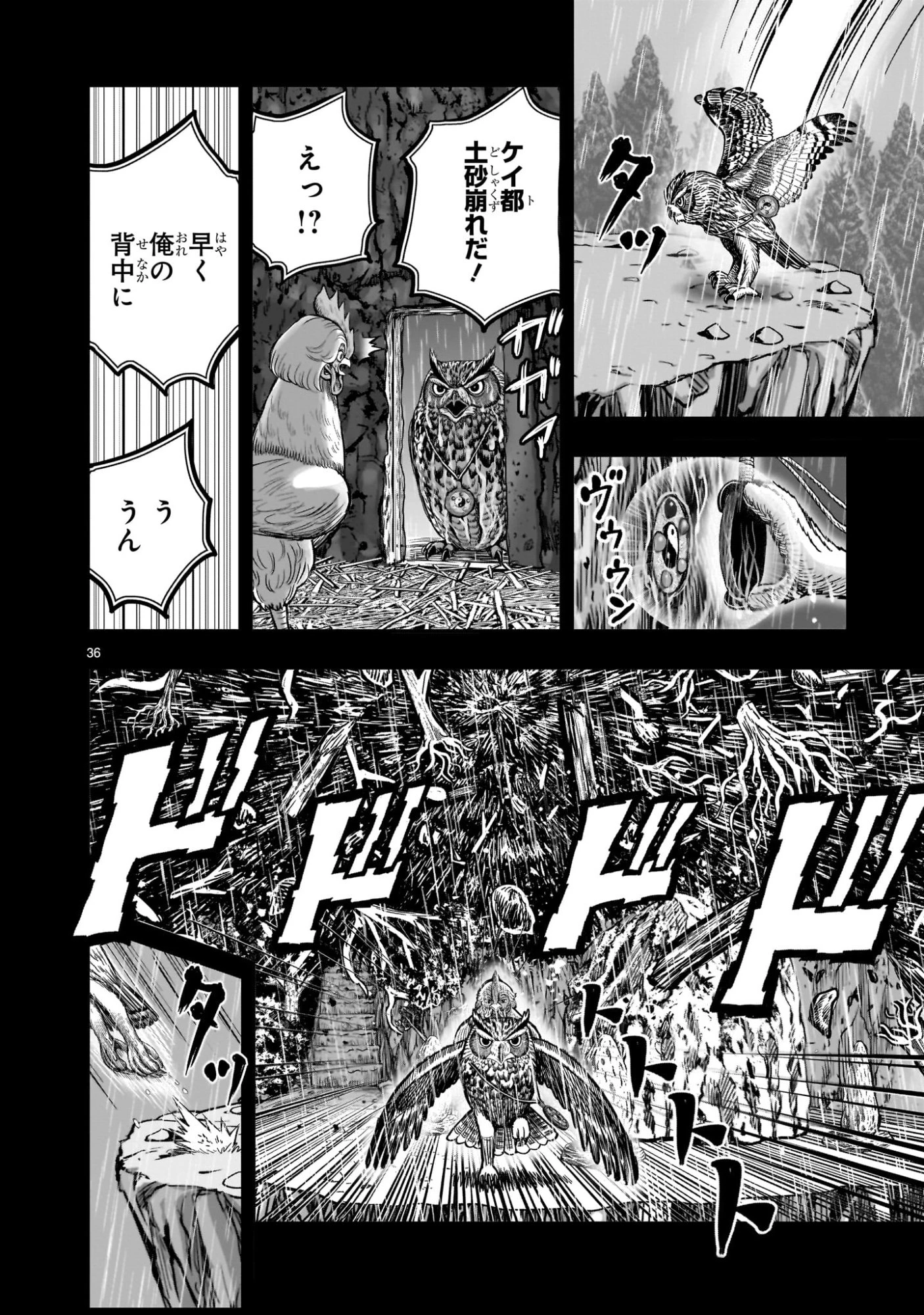 ニワトリ・ファイター 第53話 - 36