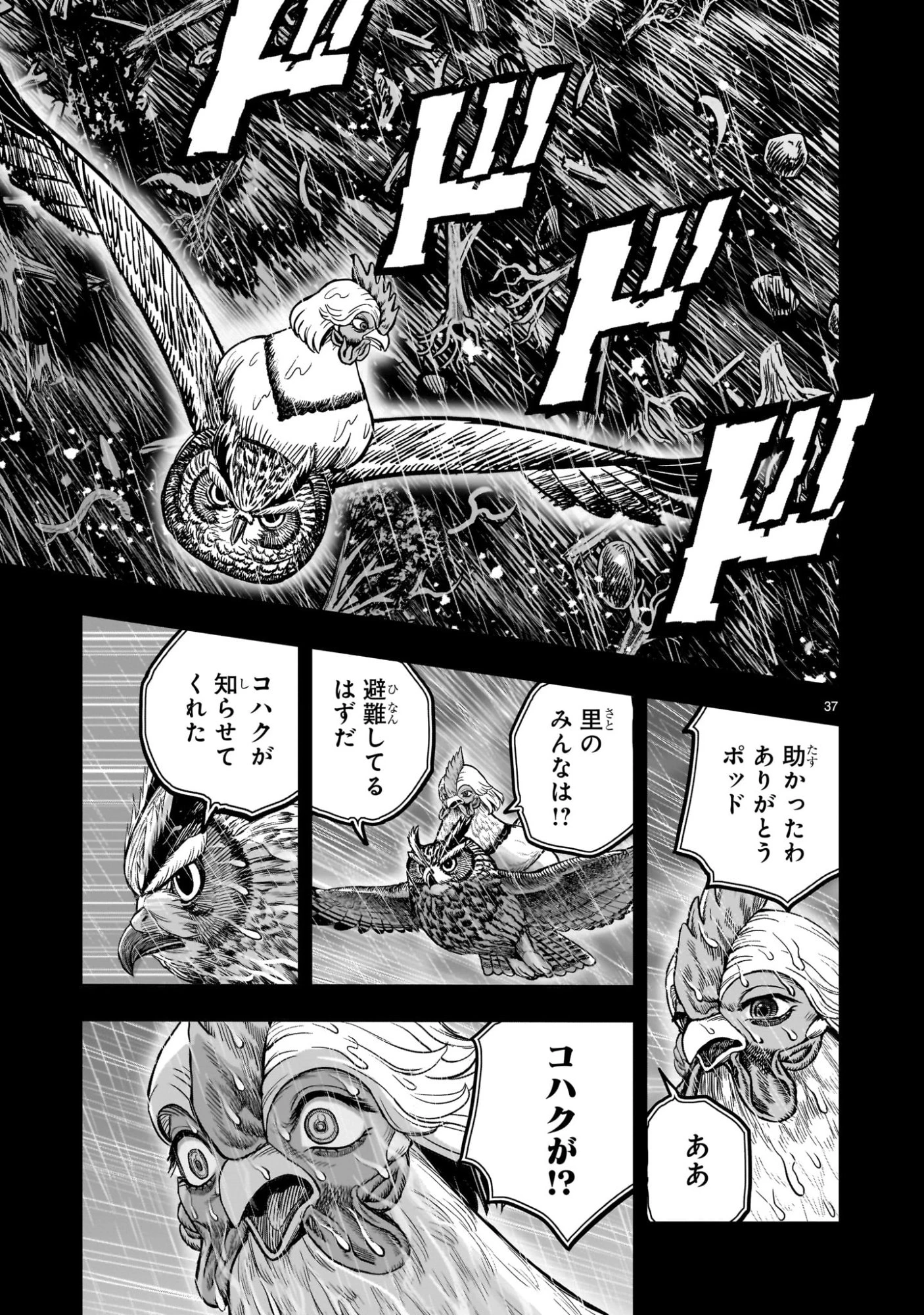 ニワトリ・ファイター 第53話 - 37