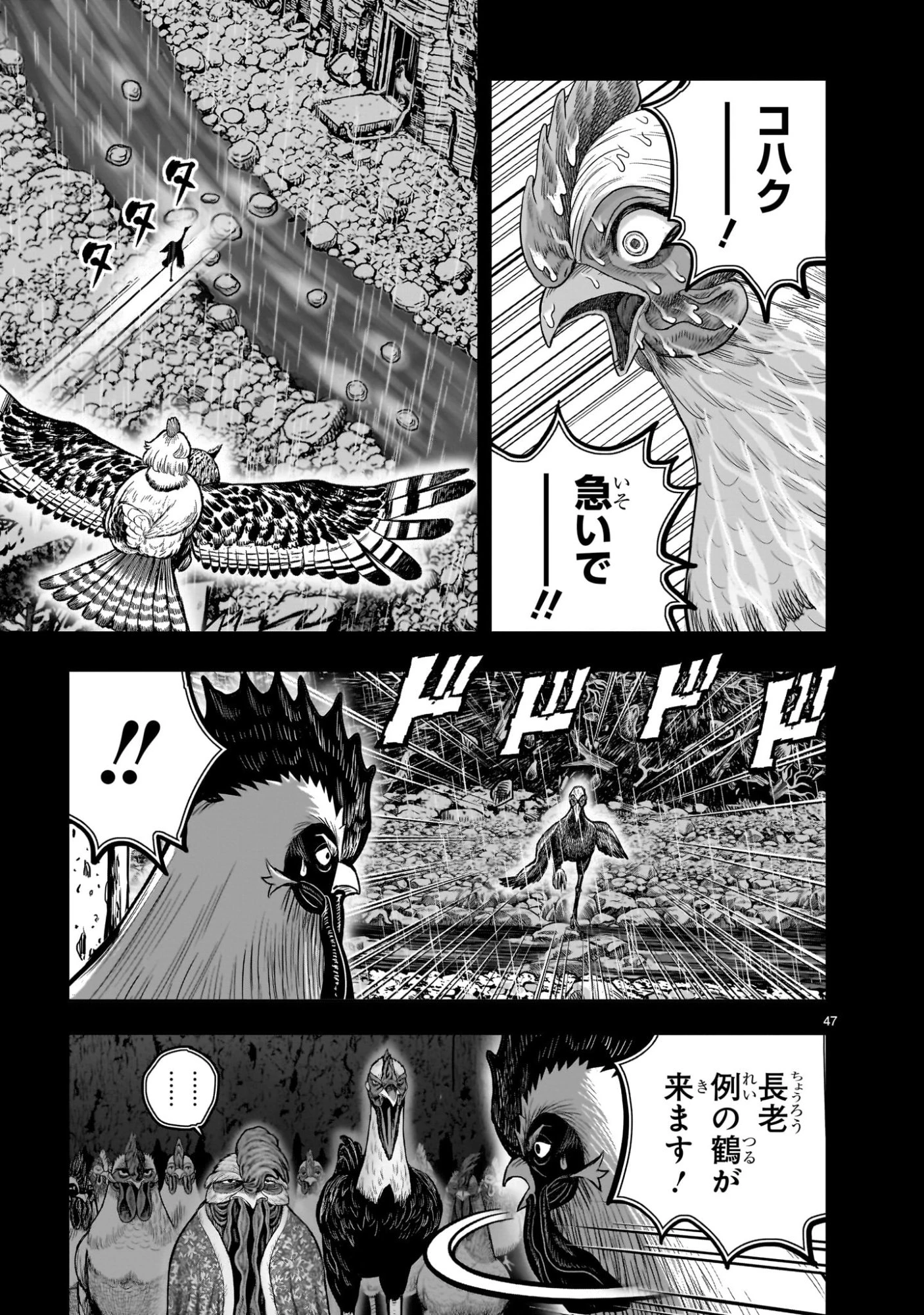 ニワトリ・ファイター 第53話 - 47