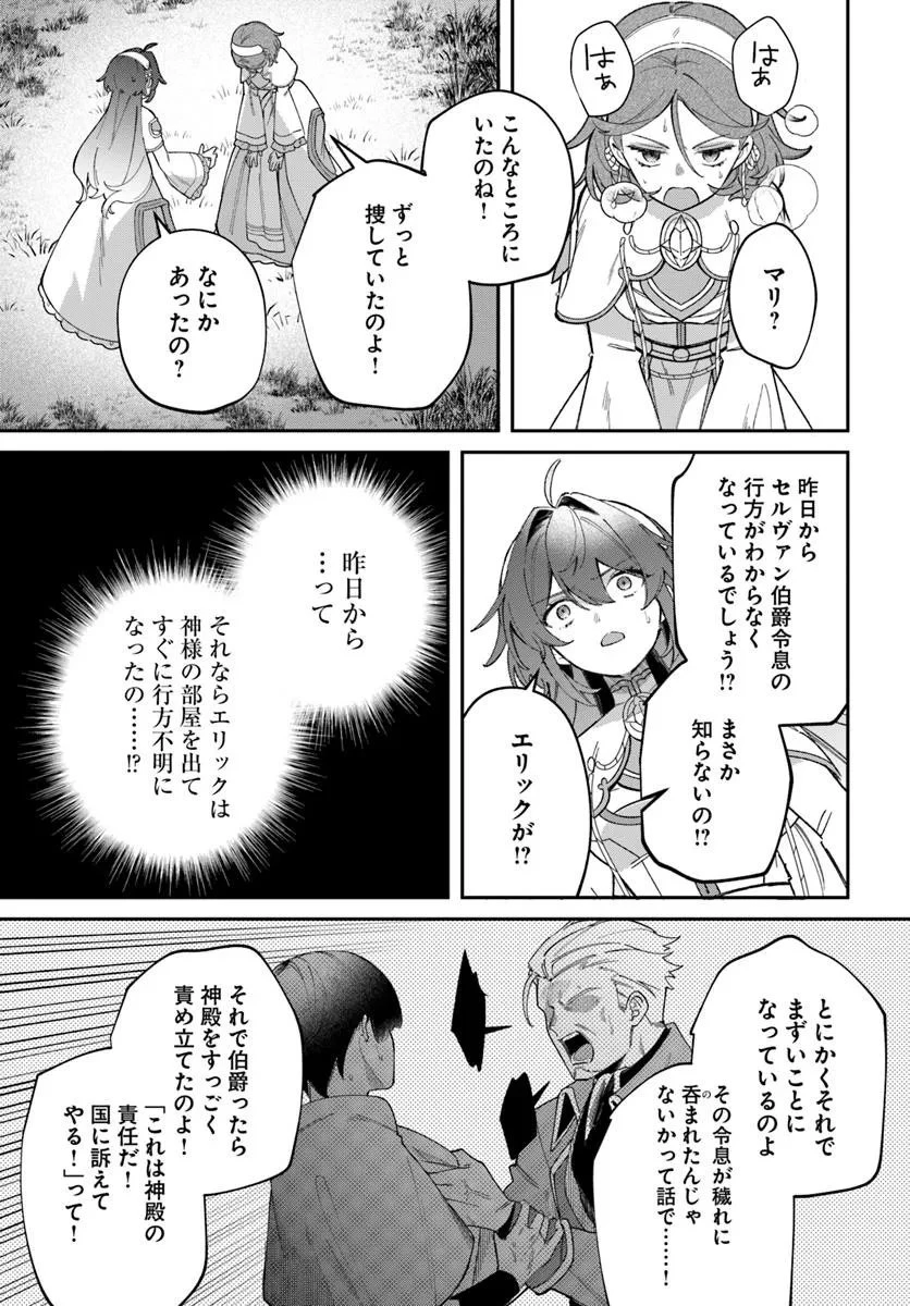 聖女様に醜い神様との結婚を押し付けられました 第20.1話 - 17