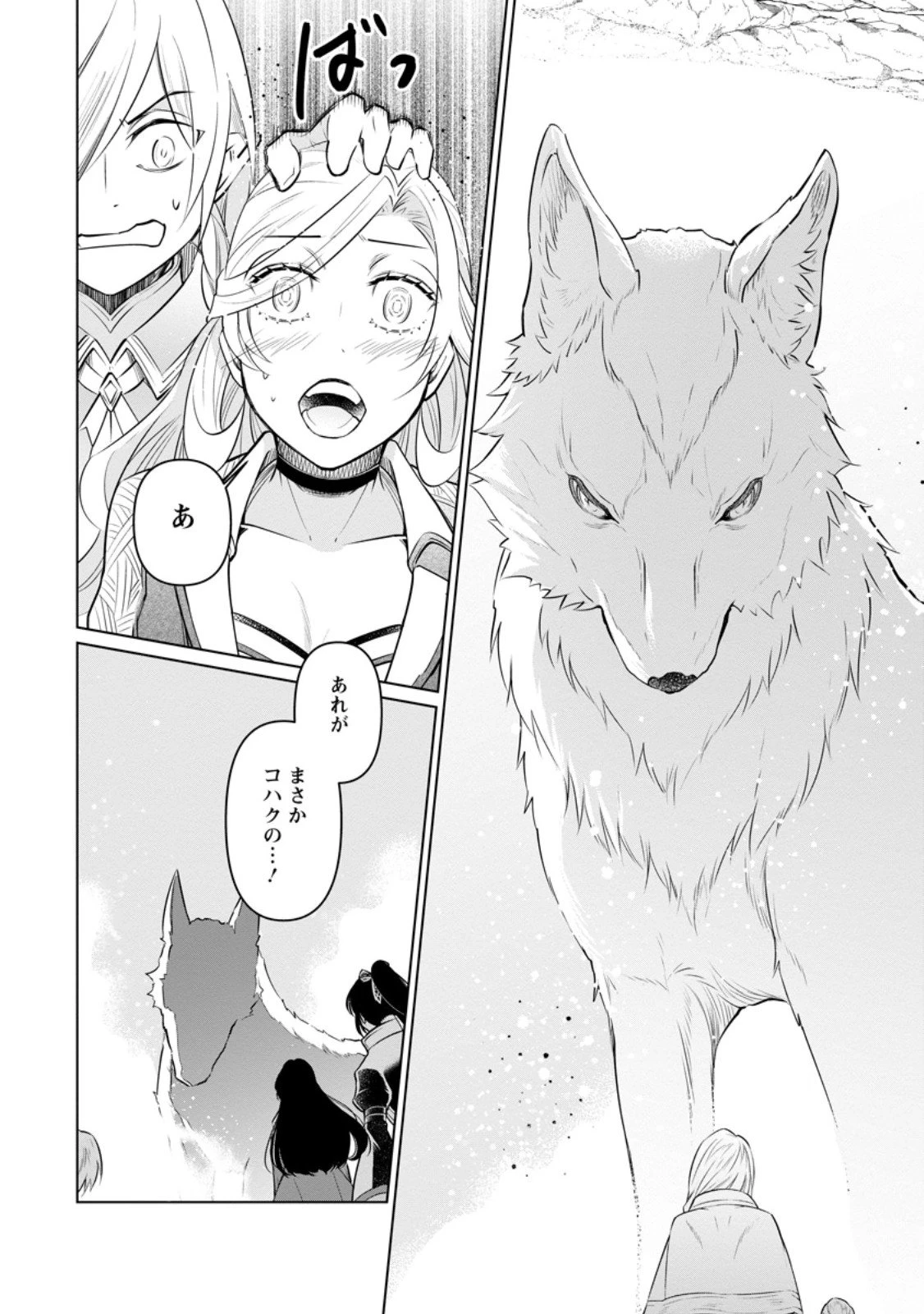 騙され裏切られ処刑された私が……誰を信じられるというのでしょう? 第39.2話 - 4