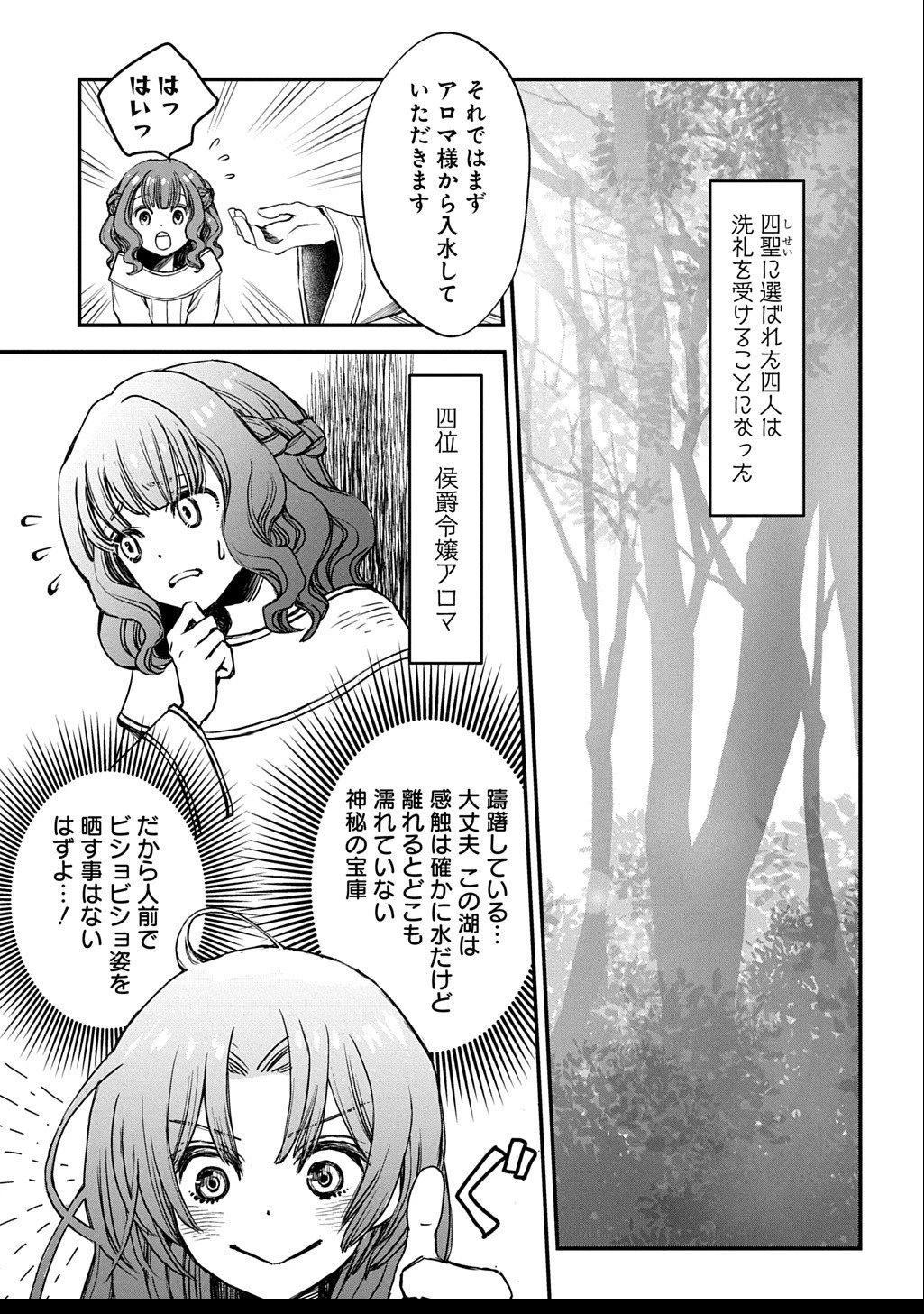 婚約破棄されました 本気出していいですよね THE COMIC 第8話 - 15