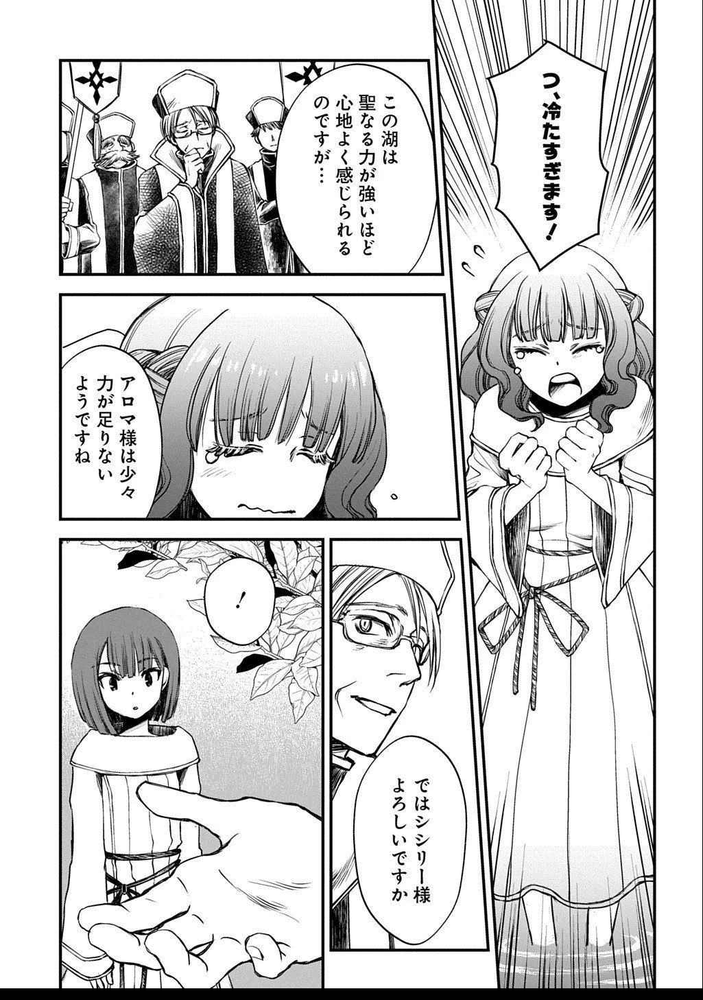 婚約破棄されました 本気出していいですよね THE COMIC 第8話 - 17