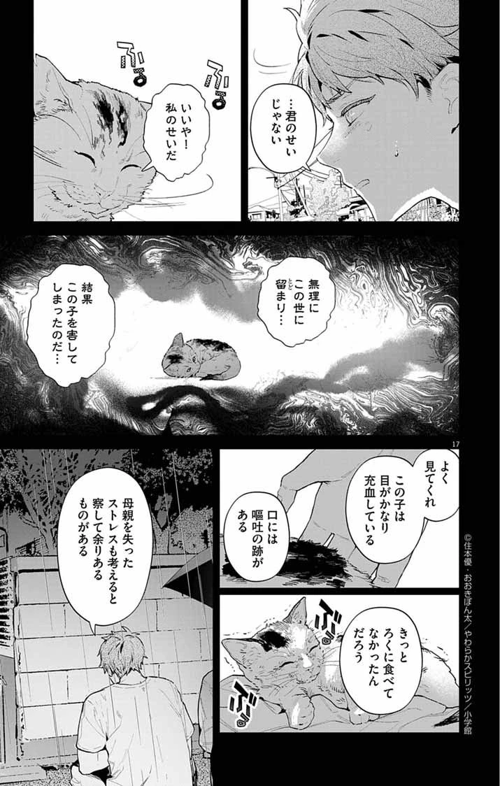 あやかし屋敷のまやかし夫婦 ～契約夫婦は鎌倉で妖怪の集う家を守る～ 第12話 - 17