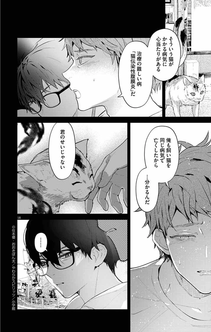 あやかし屋敷のまやかし夫婦 ～契約夫婦は鎌倉で妖怪の集う家を守る～ 第12話 - 18