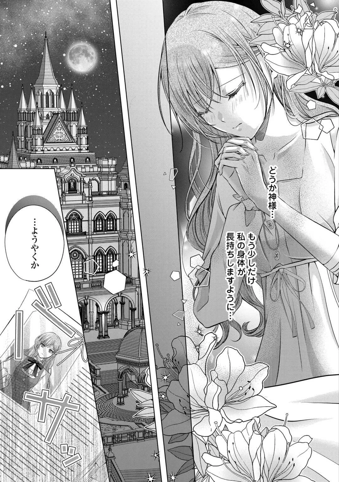 余命宣告を受けたので私を顧みない家族と婚約者に執着するのをやめることにしました 第6話 - 27