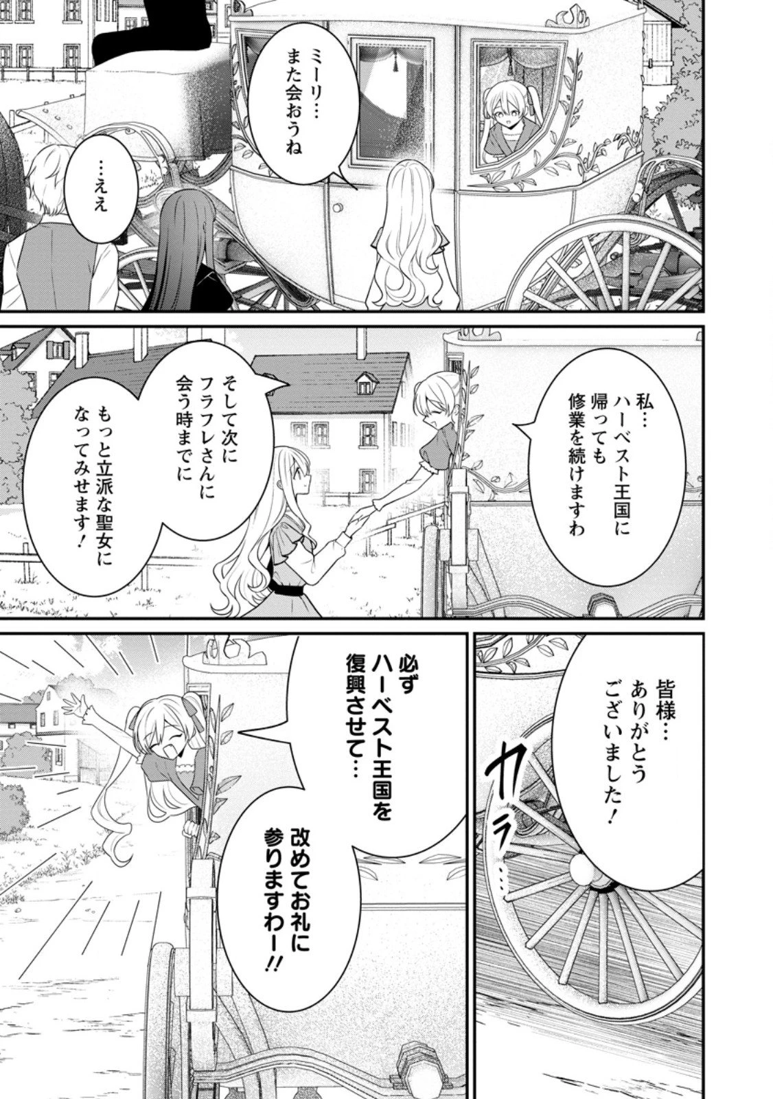 追放聖女のどろんこ農園生活～いつのまにか隣国を救ってしまいました～ 第20.3話 - 9