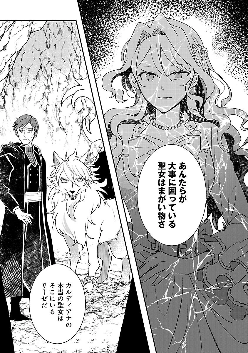 虐待されていた商家の令嬢は聖女の力を手に入れ、無自覚に容赦なく逆襲する 第20話 - 29