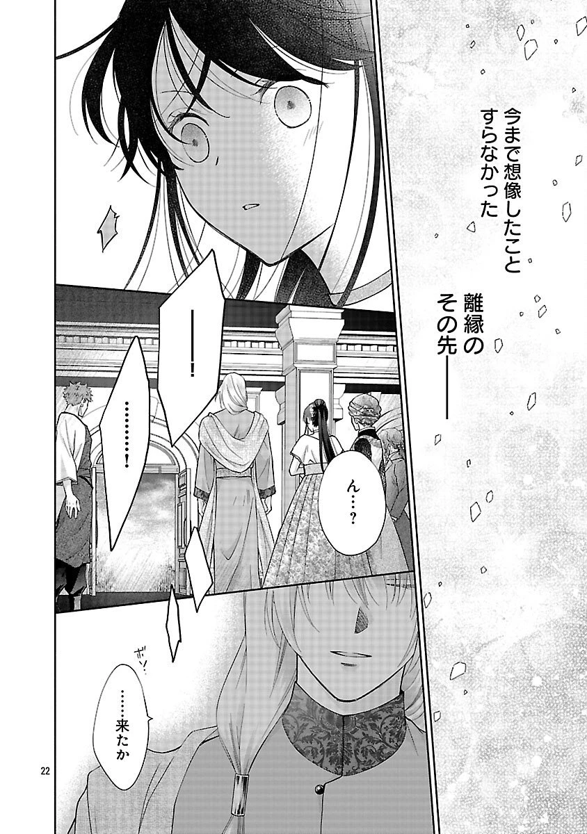 白い結婚から三年。旦那様、私と離縁してください 第16話 - 24