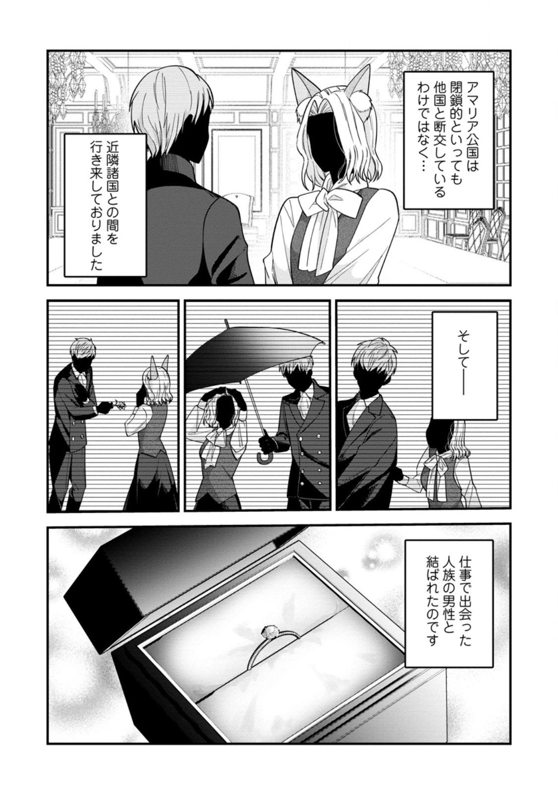 わたし、聖女じゃありませんから 第38.2話 - 5