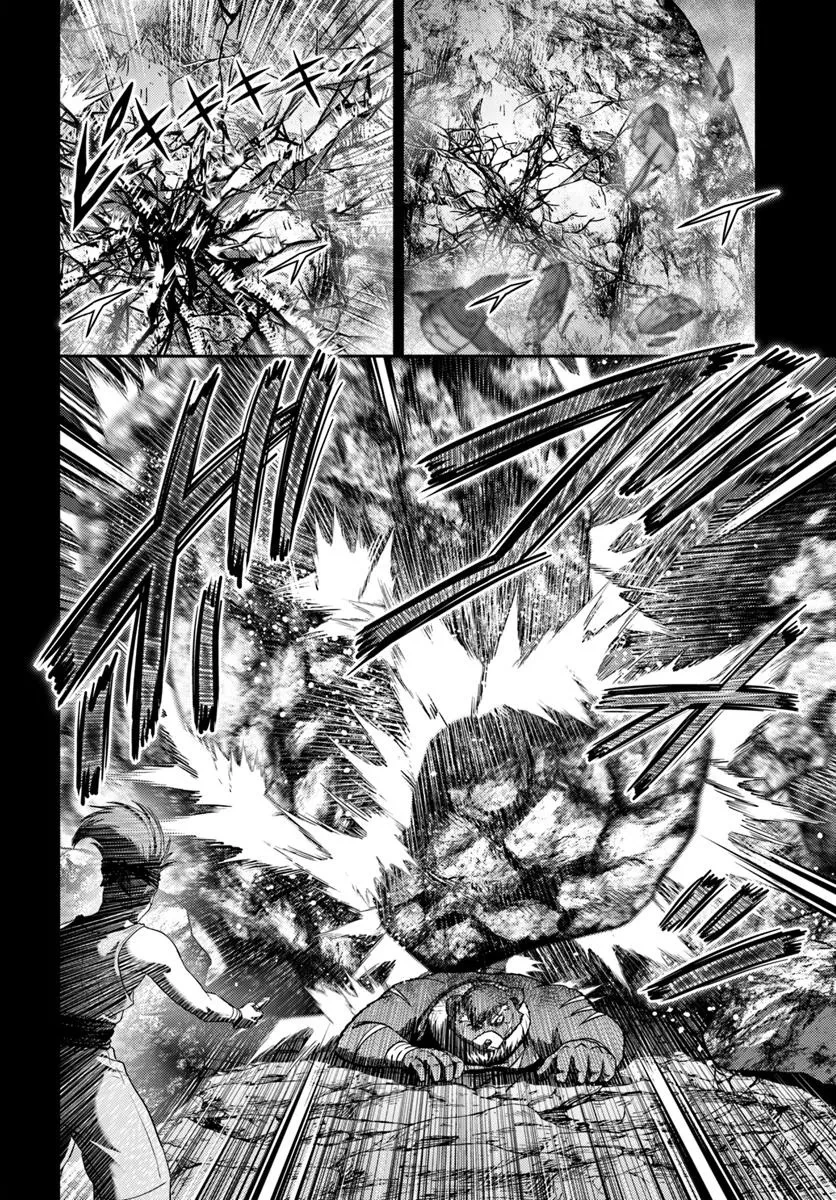 幼馴染のS級パーティーから追放された聖獣使い。万能支援魔法と仲間を増やして最強へ! 第53.2話 - 7