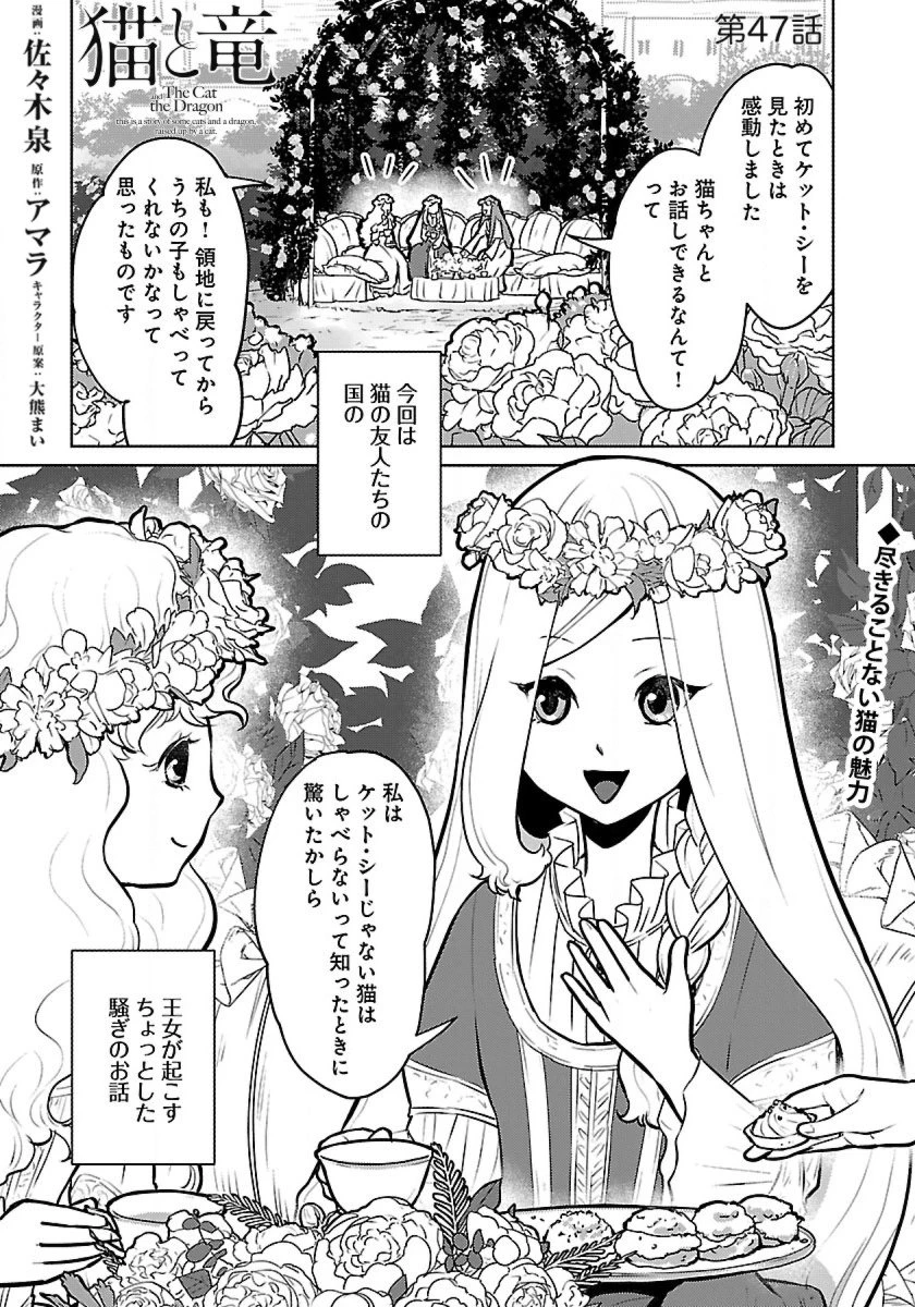 猫と竜 第47話 - 1