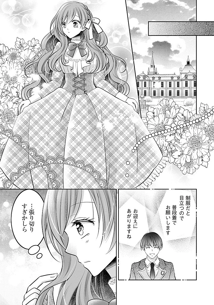 美形王子が苦手な破天荒モブ令嬢は自分らしく生きていきたい！ 第25.2話 - 10
