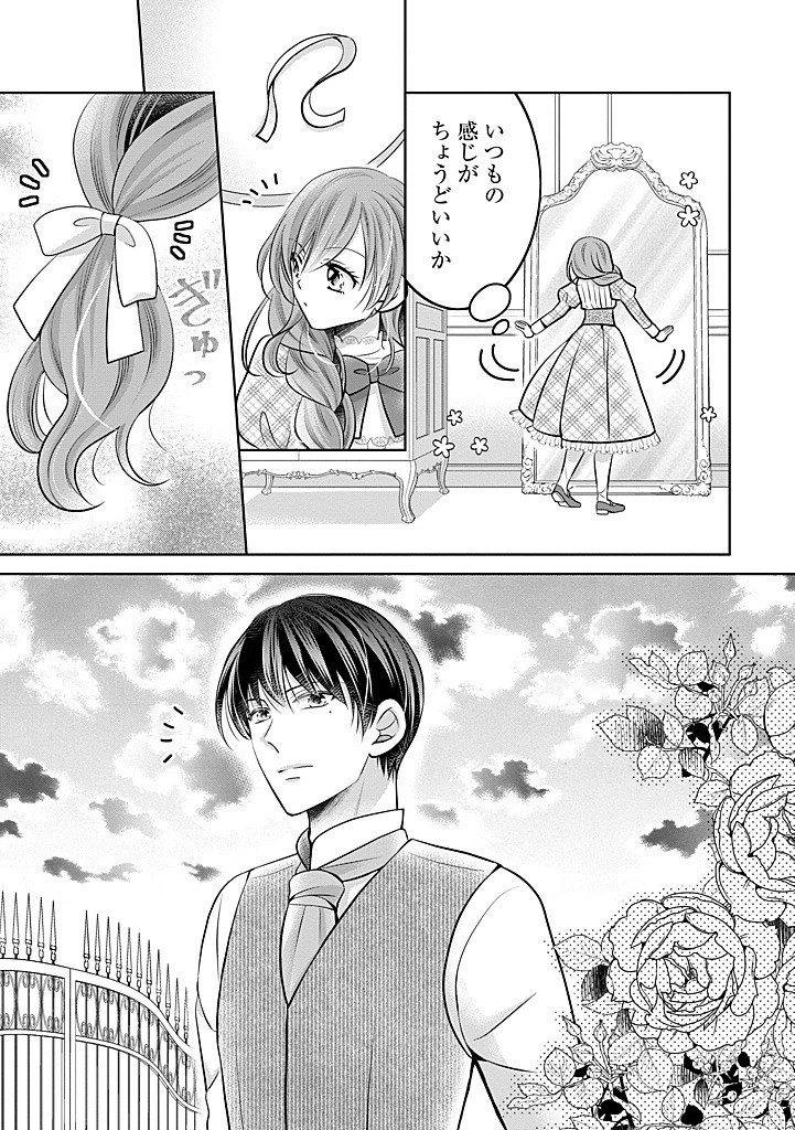 美形王子が苦手な破天荒モブ令嬢は自分らしく生きていきたい！ 第25.2話 - 12