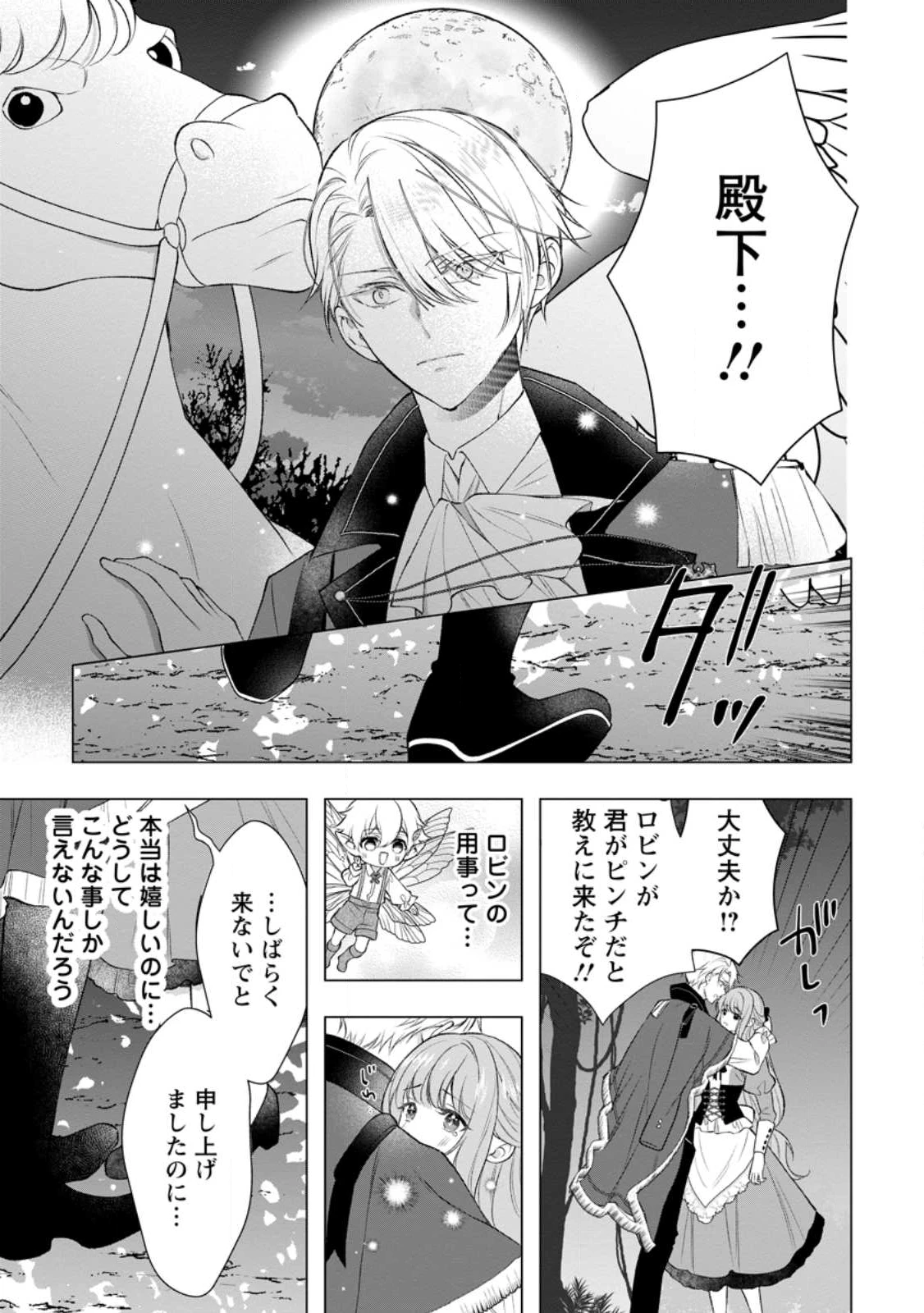 シンデレラの姉ですが、不本意ながら王子と結婚することになりました～身代わり王太子妃は離宮でスローライフを満喫する～ 第27.4話 - 7