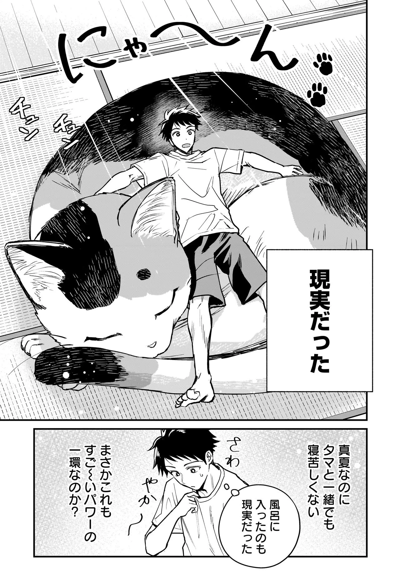 育ちすぎたタマ～うちの飼い猫が世界最強になりました!?～ 第1話 - 19