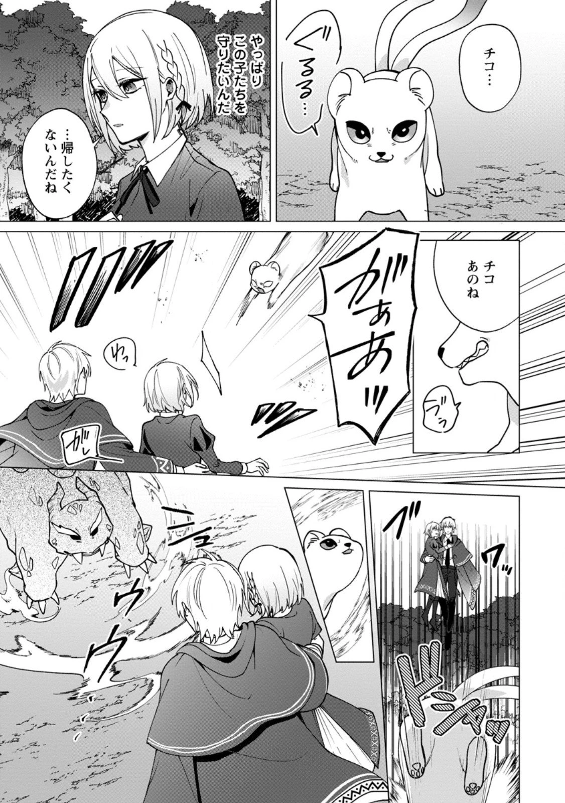 捨てられ聖女のもふもふ保護活動〜天才魔法使いと幻獣たちに愛されて幸せになります〜 第4.3話 - 9