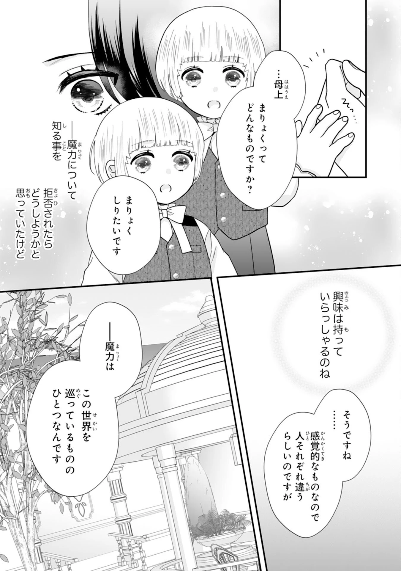 双子王子の継母になりまして～嫌われ悪女ですが、そんなことより義息子たちが可愛すぎて困ります～ 第8話 - 11