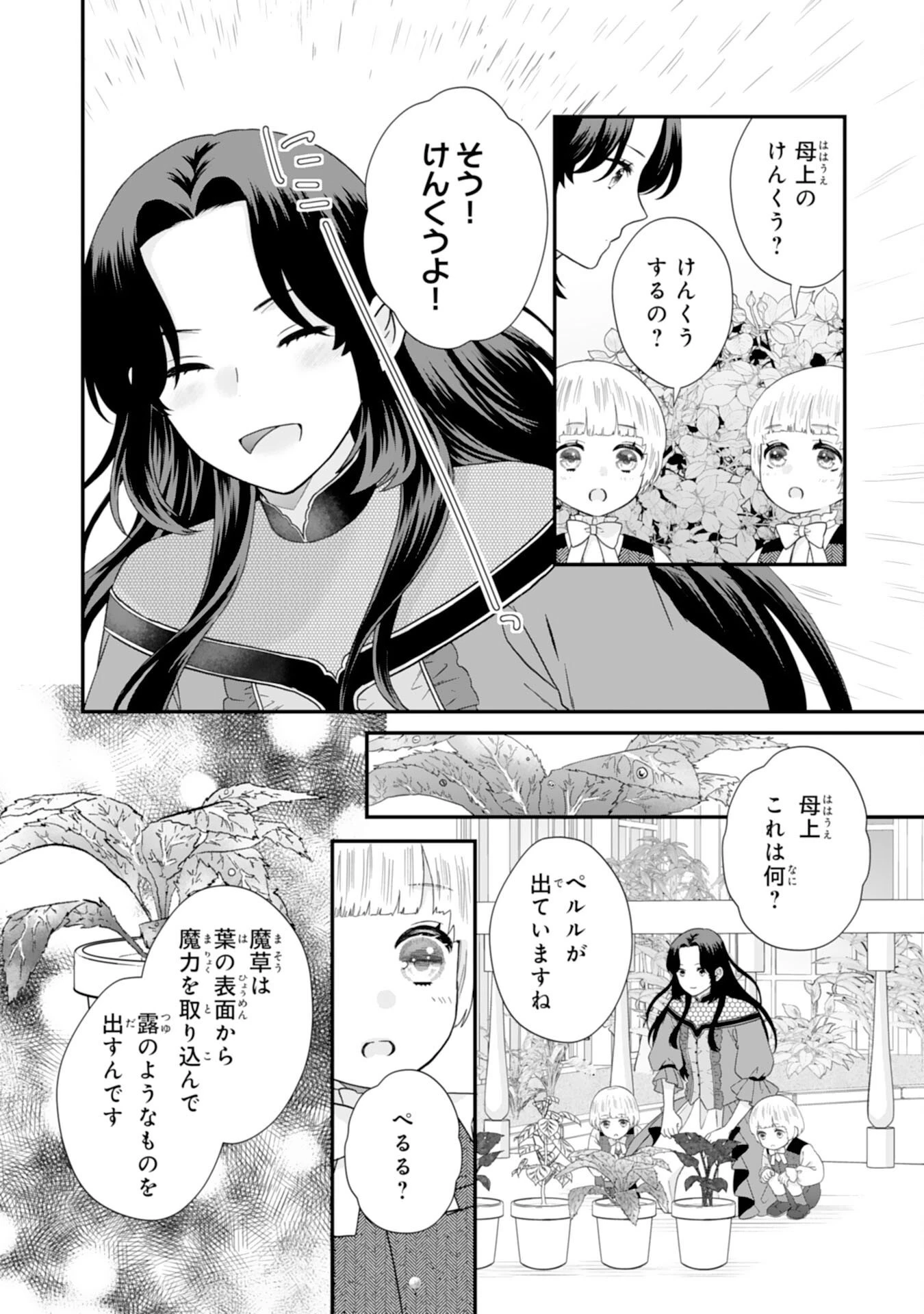 双子王子の継母になりまして～嫌われ悪女ですが、そんなことより義息子たちが可愛すぎて困ります～ 第8話 - 20