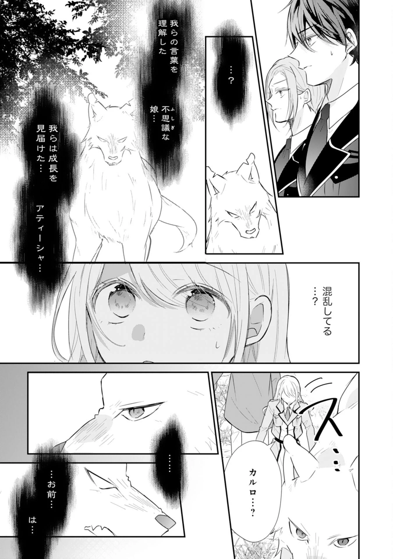 平凡な私の獣騎士団もふもふライフ 第39話 - 25