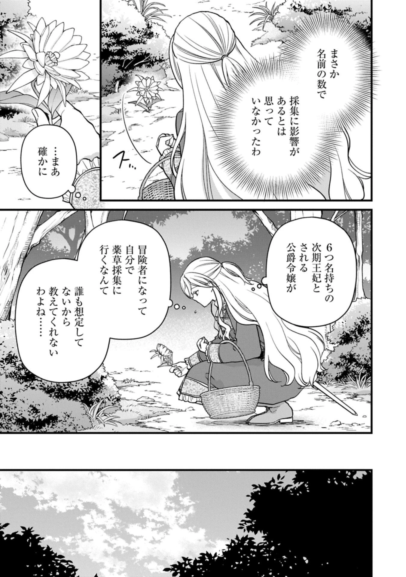 婚約解消のち、お引越し。セイラン・リゼルの気ままで優雅な生活。～才色兼備の転生令嬢は前世チートで自由を満喫します～ 第4.1話 - 3