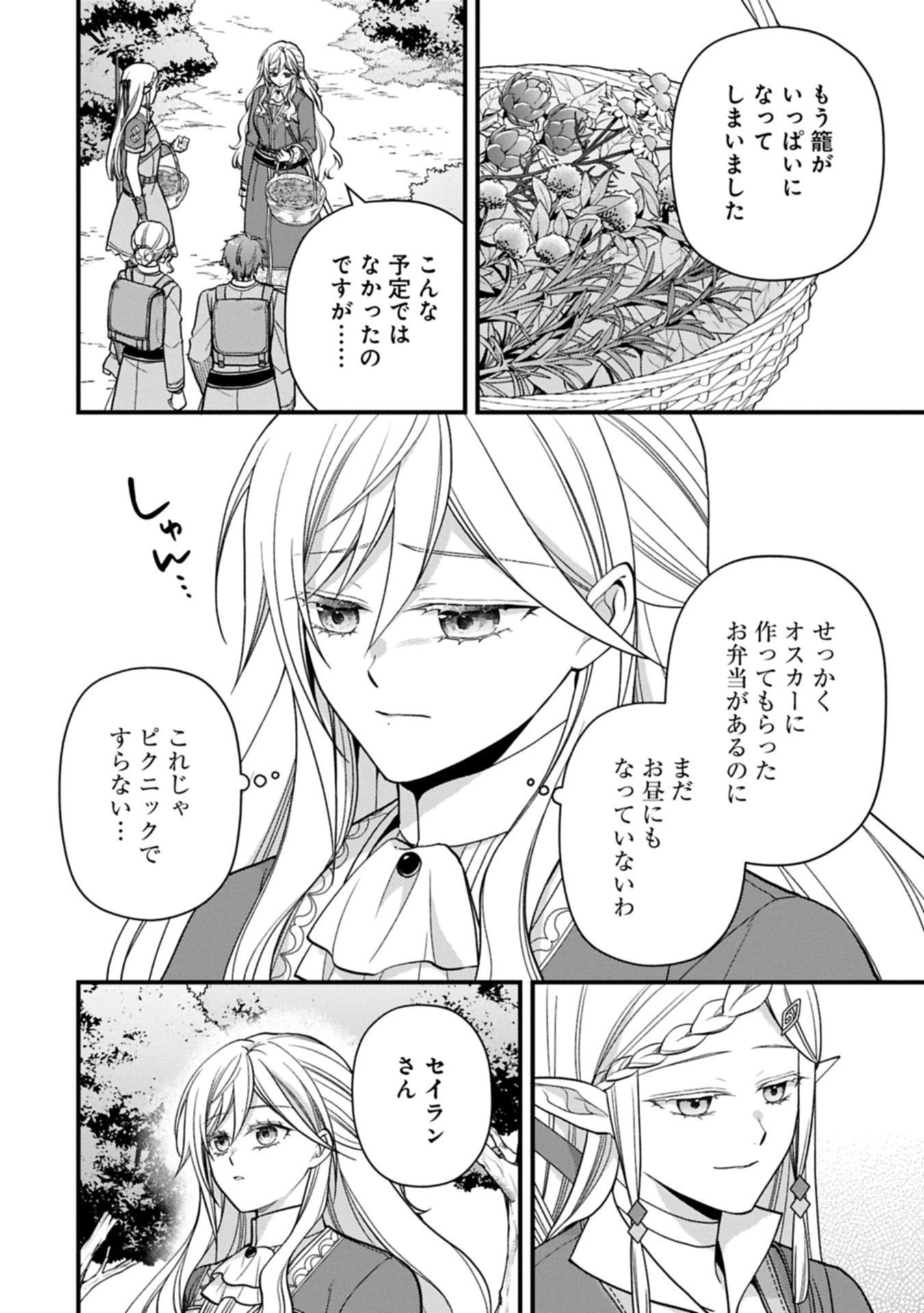 婚約解消のち、お引越し。セイラン・リゼルの気ままで優雅な生活。～才色兼備の転生令嬢は前世チートで自由を満喫します～ 第4.1話 - 4