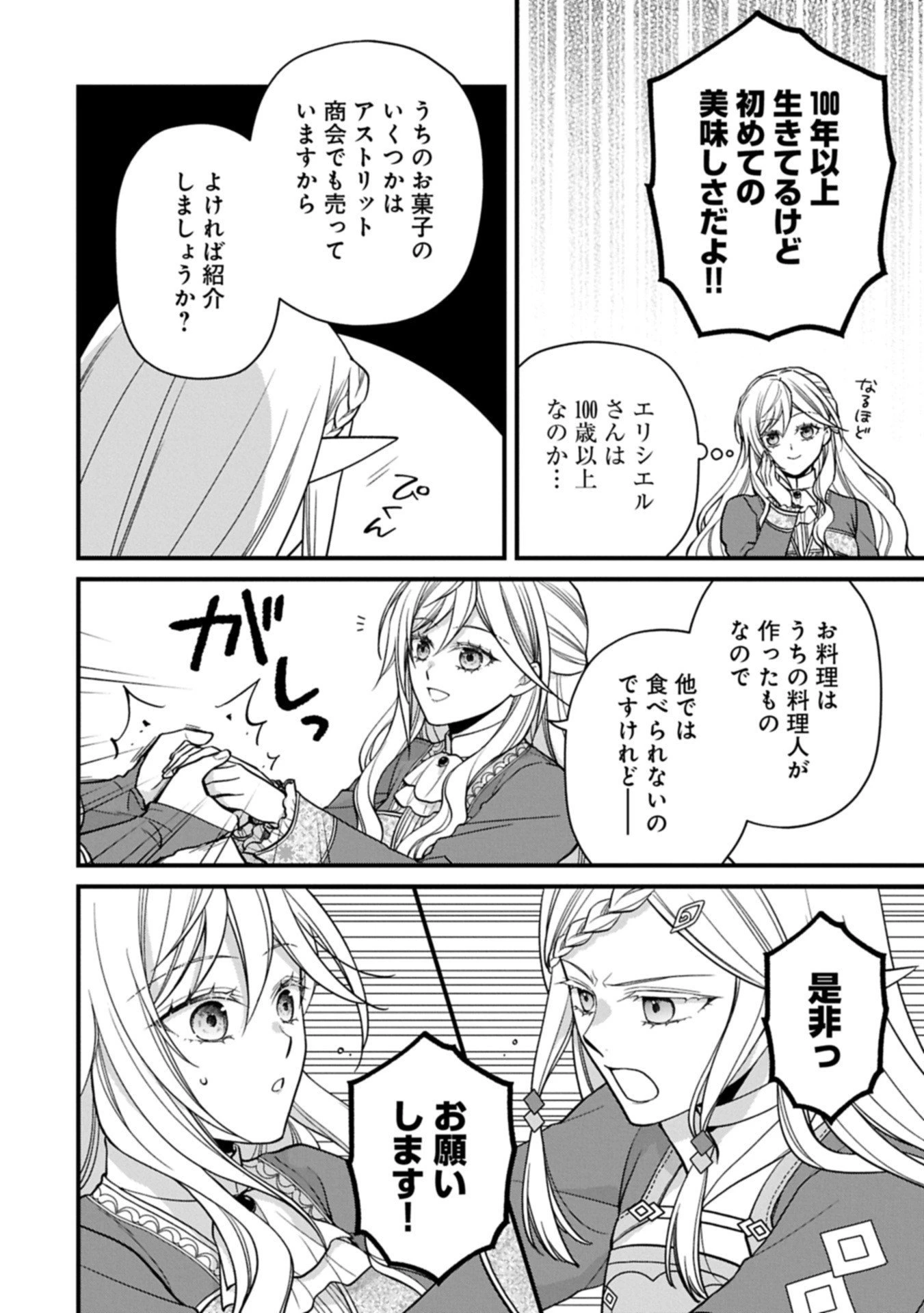 婚約解消のち、お引越し。セイラン・リゼルの気ままで優雅な生活。～才色兼備の転生令嬢は前世チートで自由を満喫します～ 第4.1話 - 10