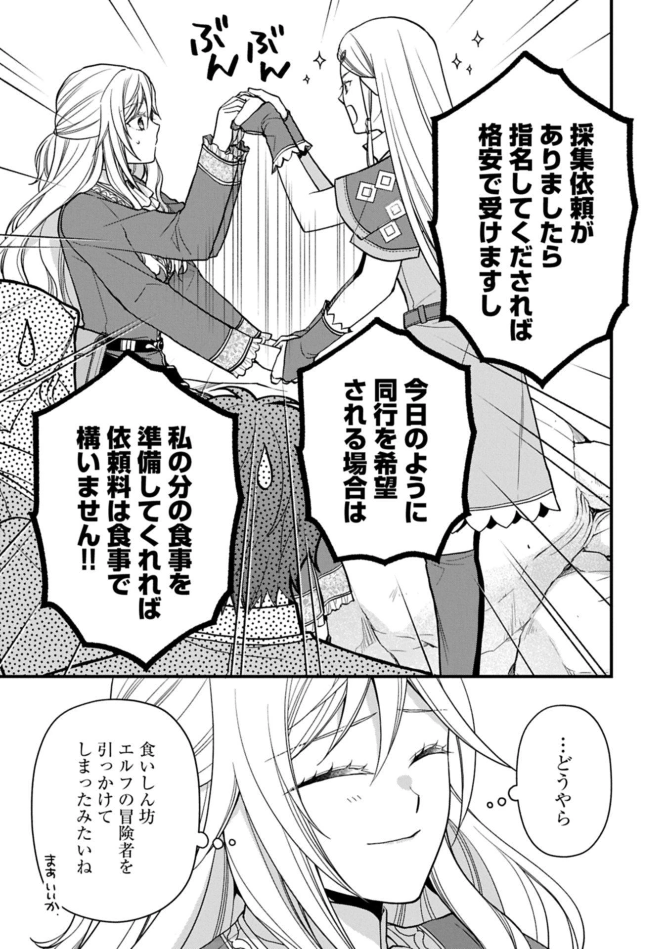 婚約解消のち、お引越し。セイラン・リゼルの気ままで優雅な生活。～才色兼備の転生令嬢は前世チートで自由を満喫します～ 第4.1話 - 11