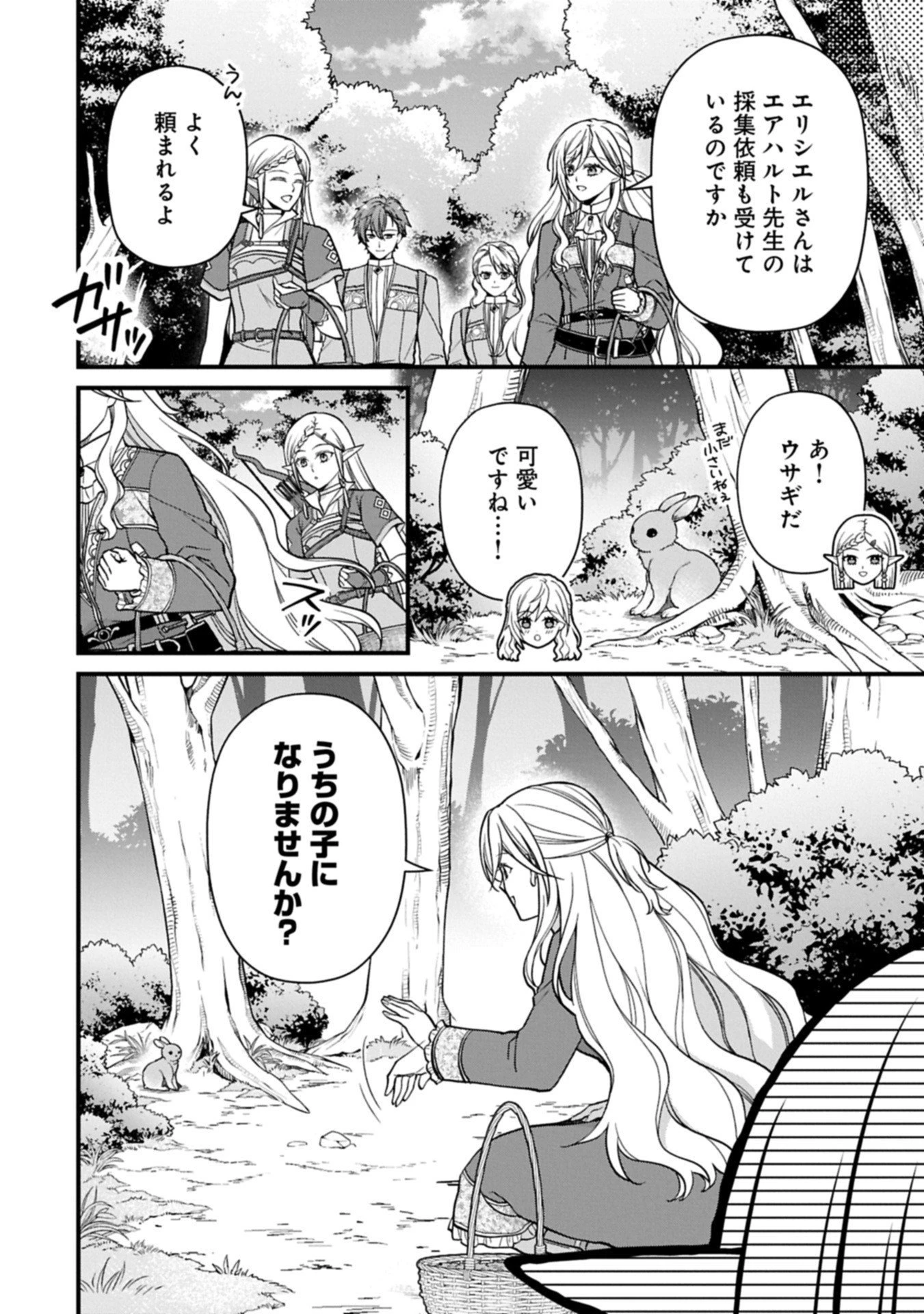 婚約解消のち、お引越し。セイラン・リゼルの気ままで優雅な生活。～才色兼備の転生令嬢は前世チートで自由を満喫します～ 第4.1話 - 12