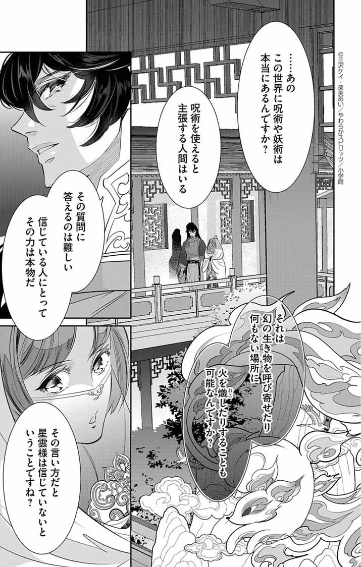 後宮の影公主～呪術師は謎を読む～ 第3話 - 18