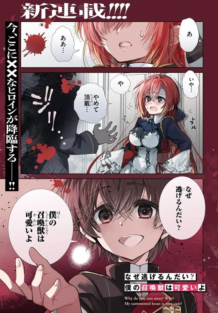 なぜ逃げるんだい? 僕の召喚獣は可愛いよ 第1.1話 - 1