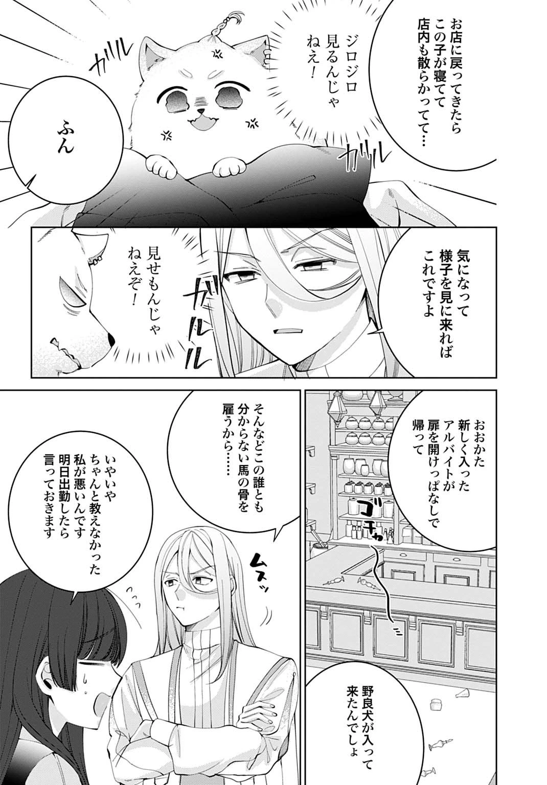 異世界では現代コスメが無敵でした 第5話 - 17