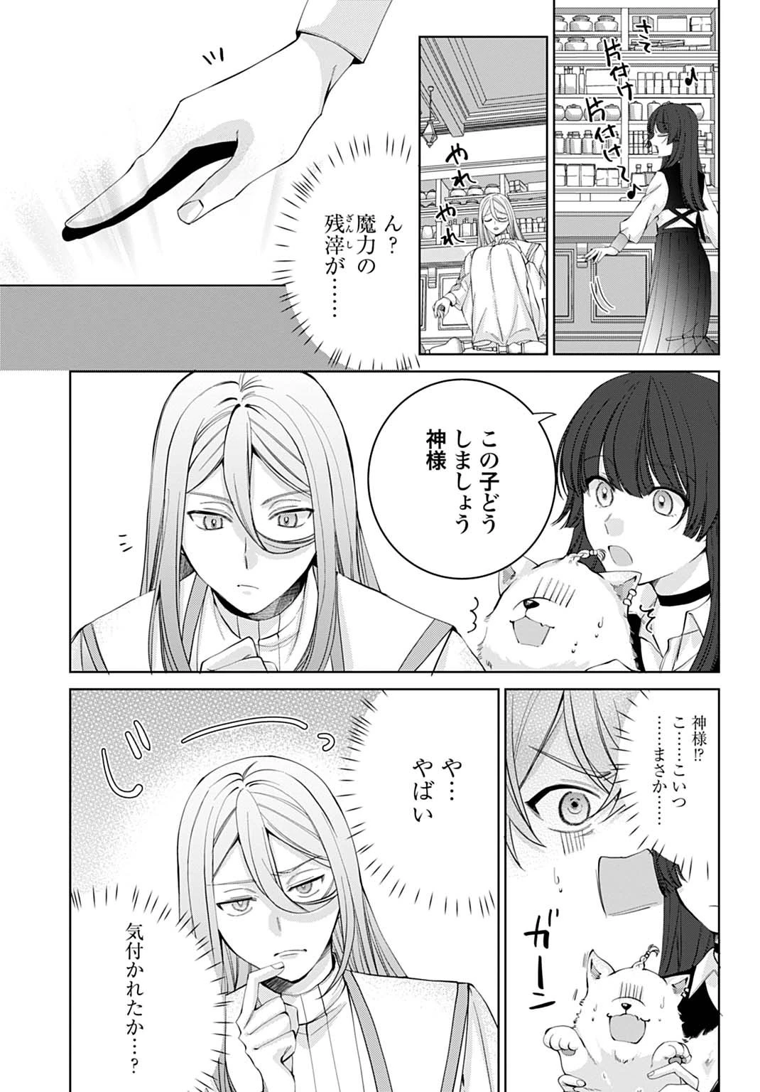 異世界では現代コスメが無敵でした 第5話 - 18