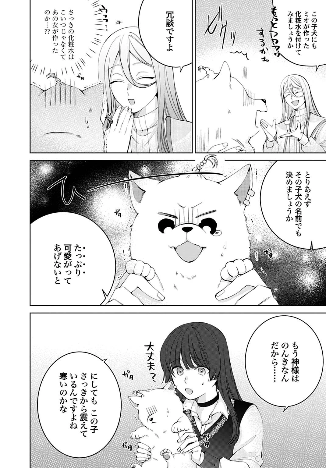 異世界では現代コスメが無敵でした 第5話 - 20