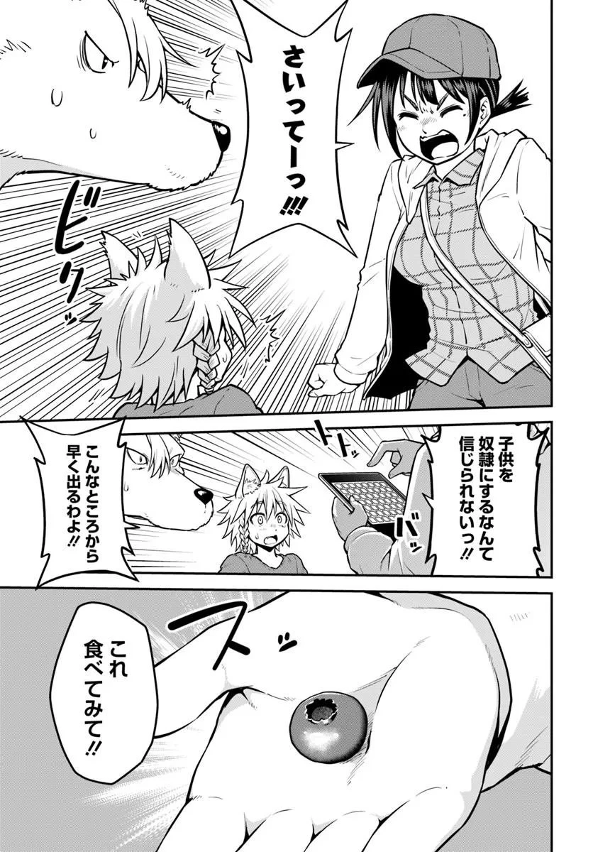 山、買いました 〜異世界暮らしも悪くない〜 第16.1話 - 12