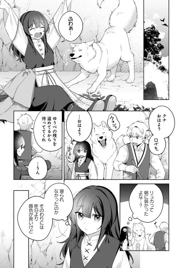 薬売りの聖女 ～冤罪で追放された薬師は、辺境の地で幸せを掴む～ 第11.2話 - 8