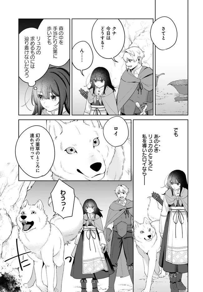 薬売りの聖女 ～冤罪で追放された薬師は、辺境の地で幸せを掴む～ 第11.2話 - 9