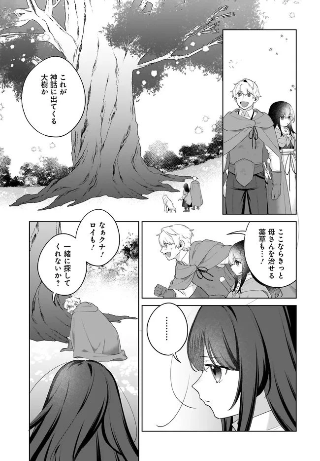 薬売りの聖女 ～冤罪で追放された薬師は、辺境の地で幸せを掴む～ 第11.2話 - 13