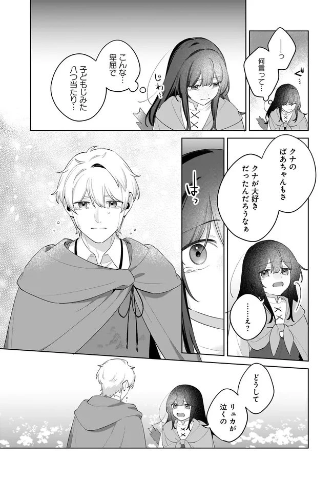 薬売りの聖女 ～冤罪で追放された薬師は、辺境の地で幸せを掴む～ 第11.2話 - 19