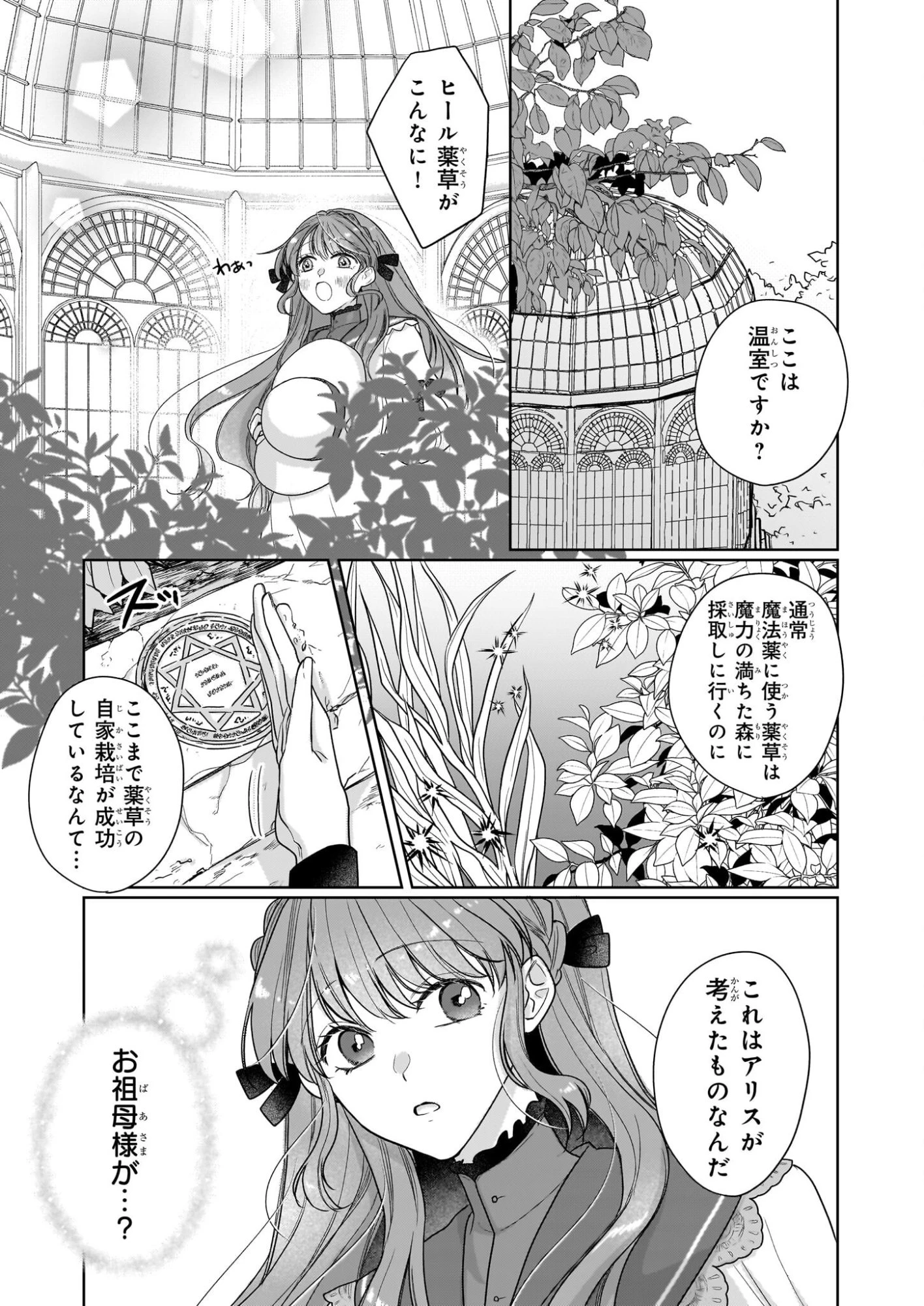 家を追放された魔法薬師は、薬獣や妖精に囲まれて秘密の薬草園で第二の人生を謳歌する 第3話 - 5