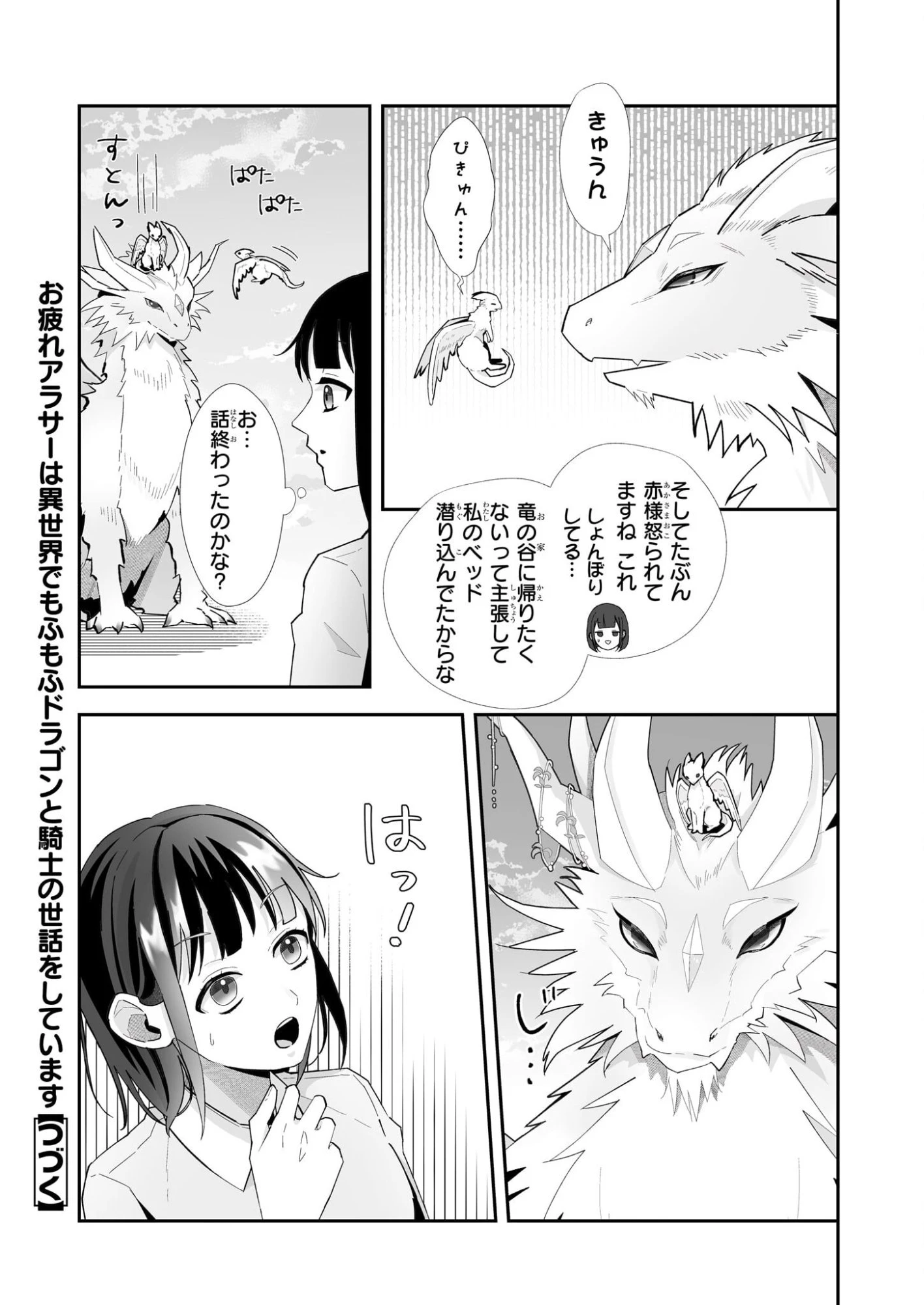 お疲れアラサーは異世界でもふもふドラゴンと騎士の世話をしています 第7話 - 13