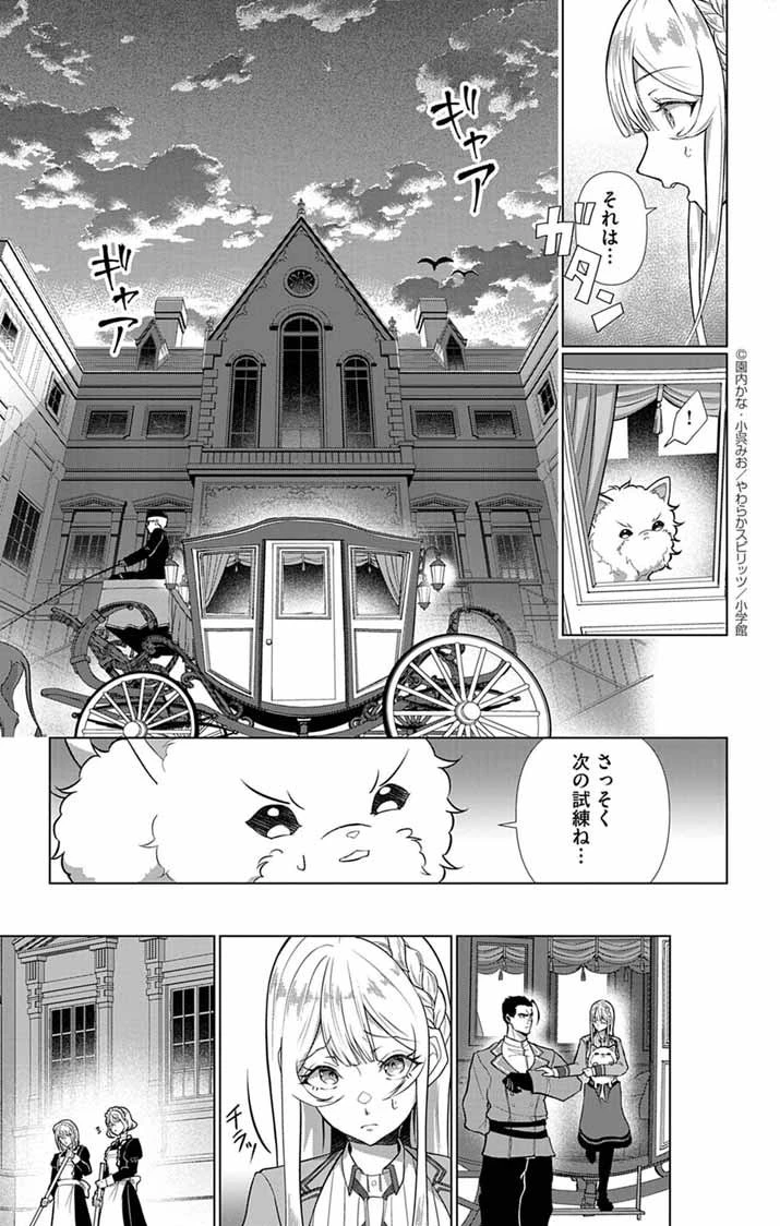 傾国の美姫はステータス変更で素手喧嘩無敗になりました 第2話 - 13