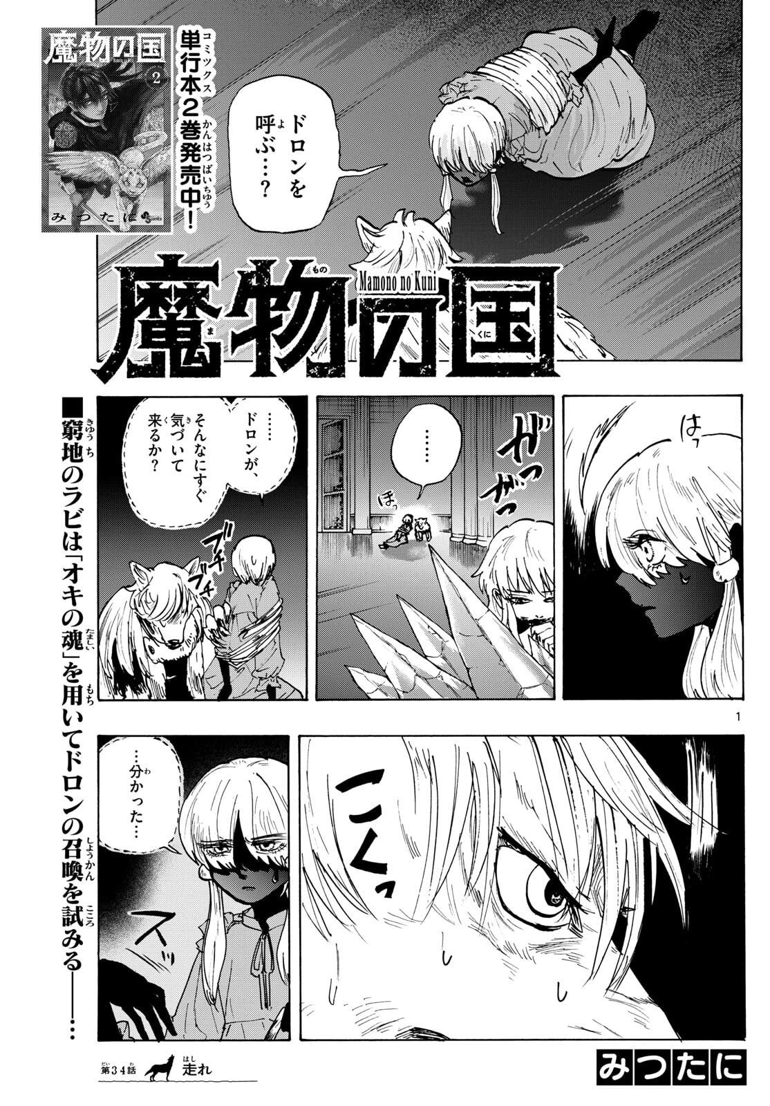 魔物の国 第34話 - 1